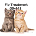 GS-441524 flesjes Cat FIP-behandeling 15 mg / ml